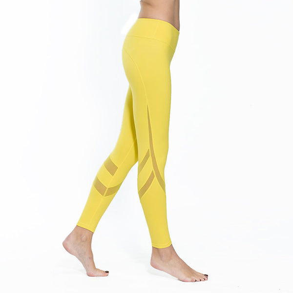 Women's Mesh Fitness Pants