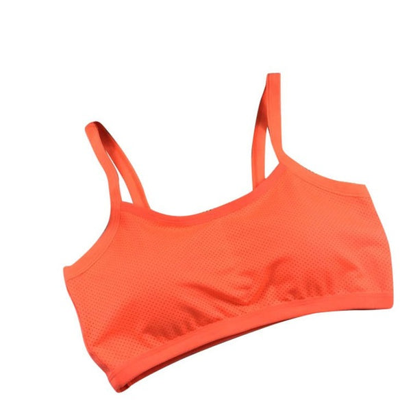 Seamless Padded Sports Bra